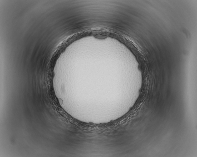 X0000112050776200908250958