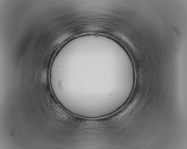 X0000112050777200908250958