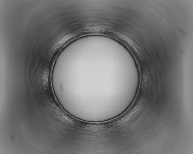 X0000112050778200908250958