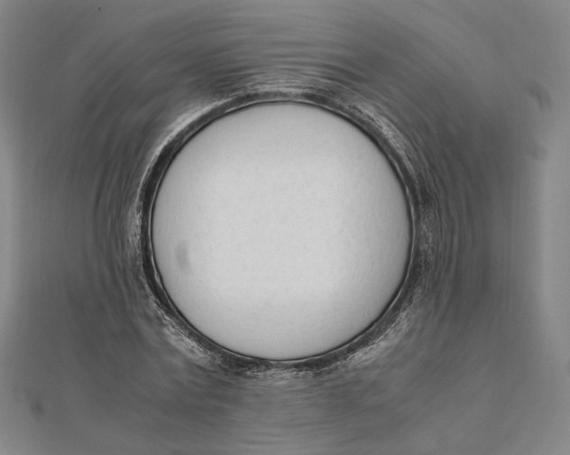 X0000112050779200908250958