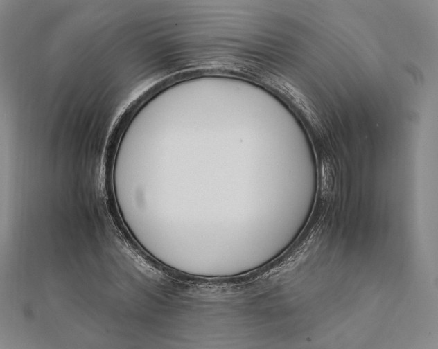 X0000112050780200908250958