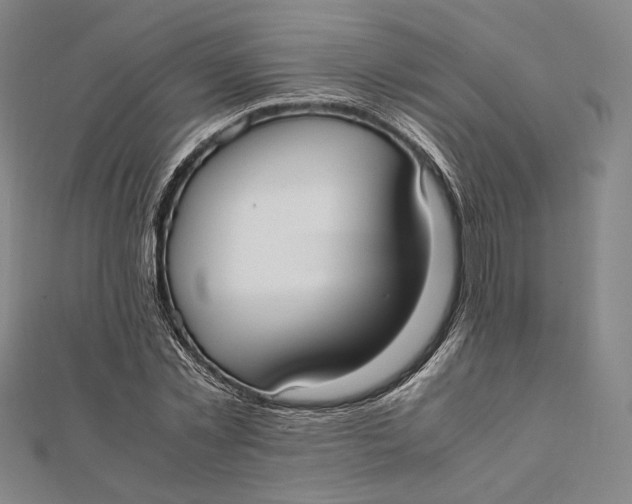 X0000112050781200908250957