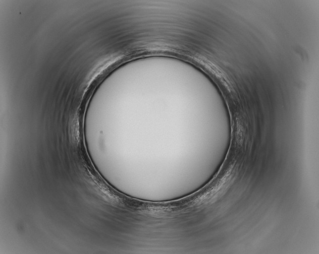 X0000112050782200908250957