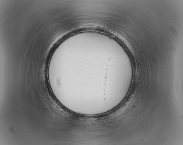 X0000112050783200908250957