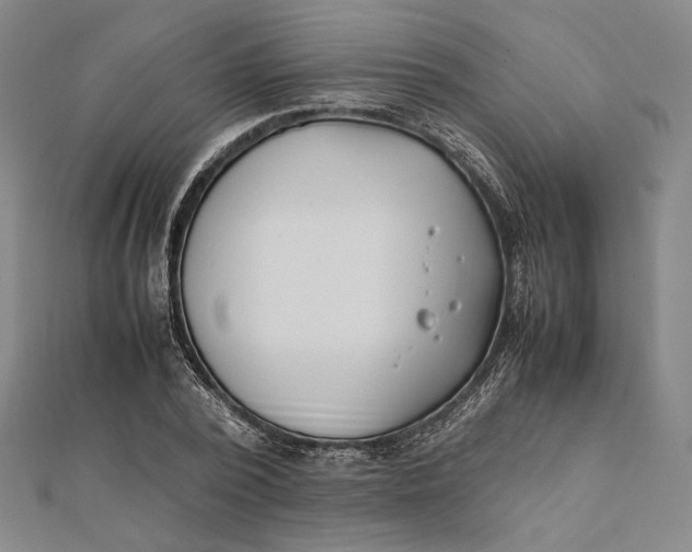 X0000112050784200908250957