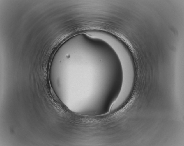 X0000112050785200908250957