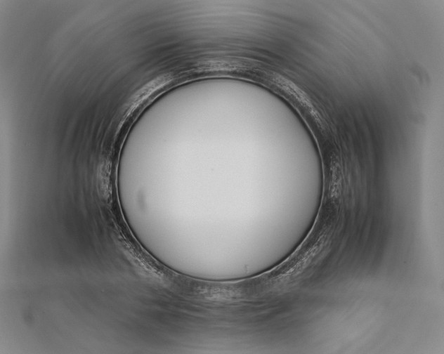 X0000112050786200908250957