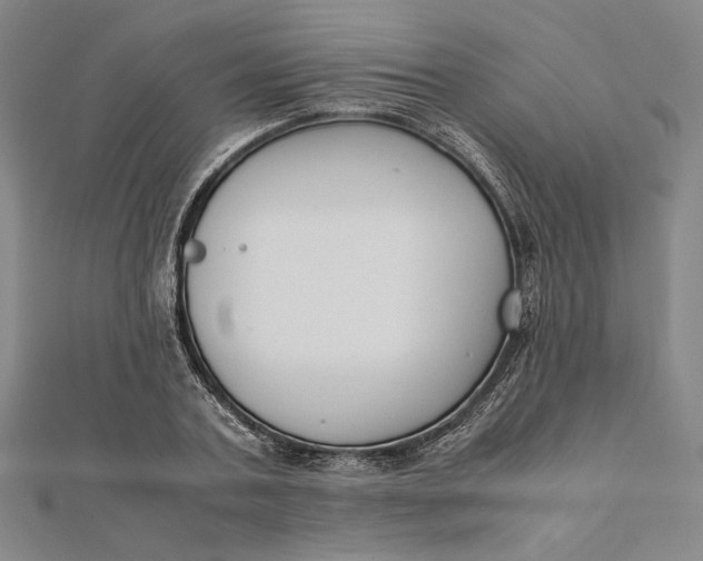 X0000112050787200908250957