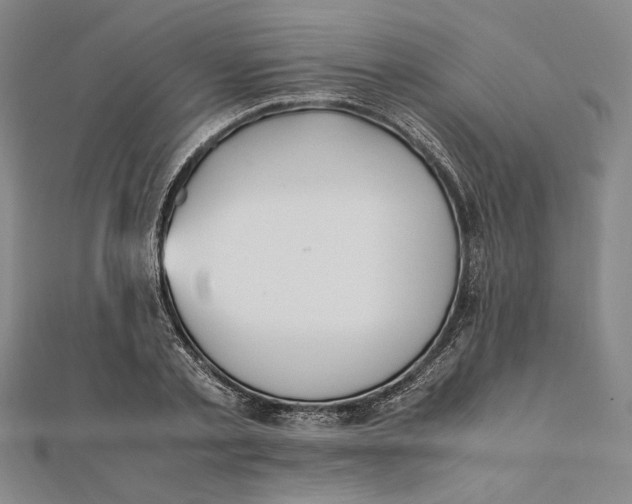 X0000112050789200908250957