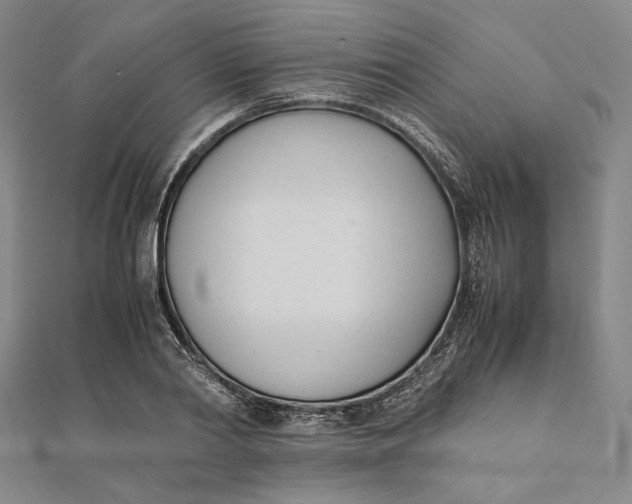 X0000112050790200908250957