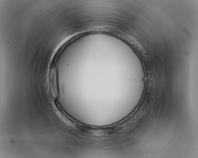 X0000112050792200908250957