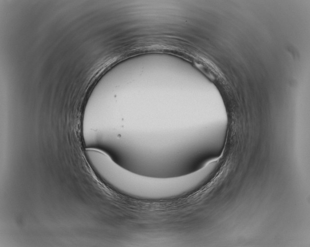 X0000112050793200908250957