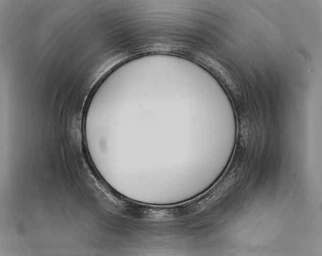 X0000112050794200908250957