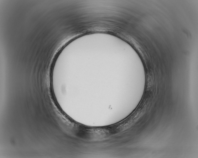 X0000112050795200908250957