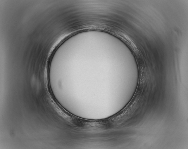 X0000112050796200908250957