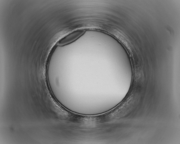 X0000112050797200908250957