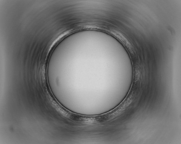 X0000112050798200908250957