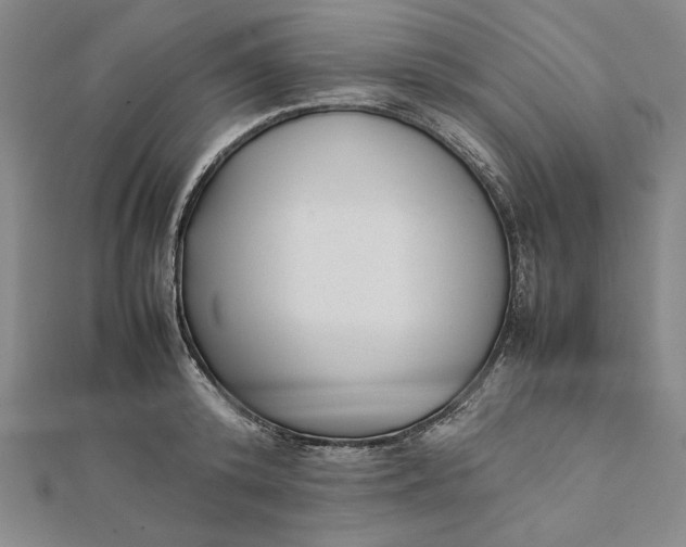 X0000112050800200908250957