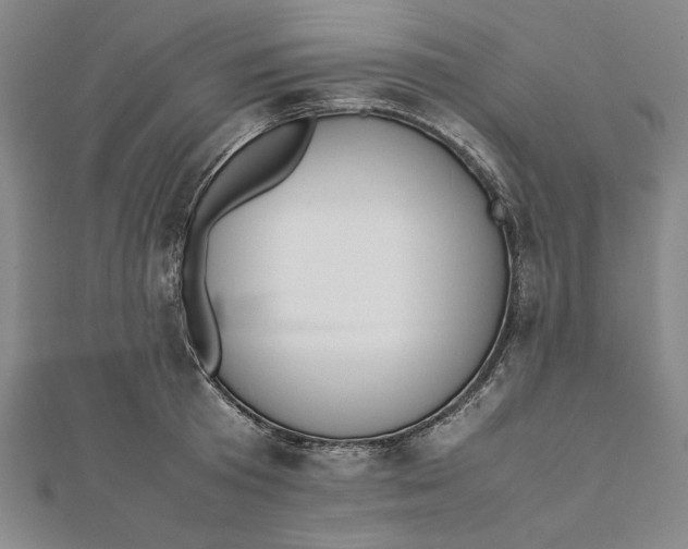 X0000112050801200908250957