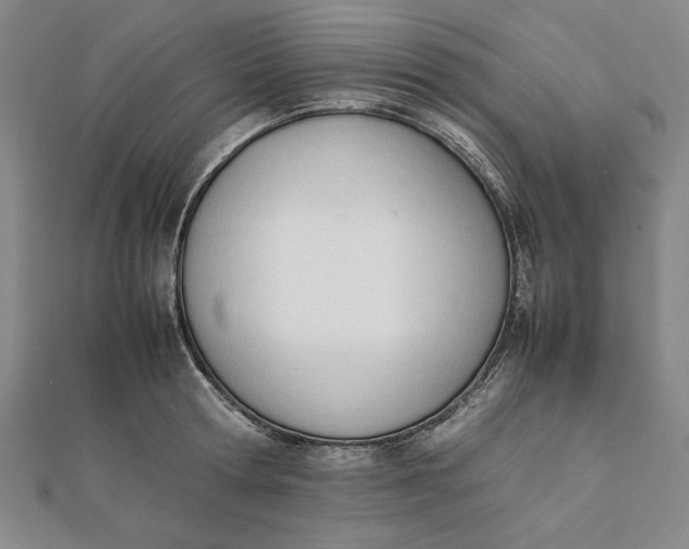 X0000112050802200908250957