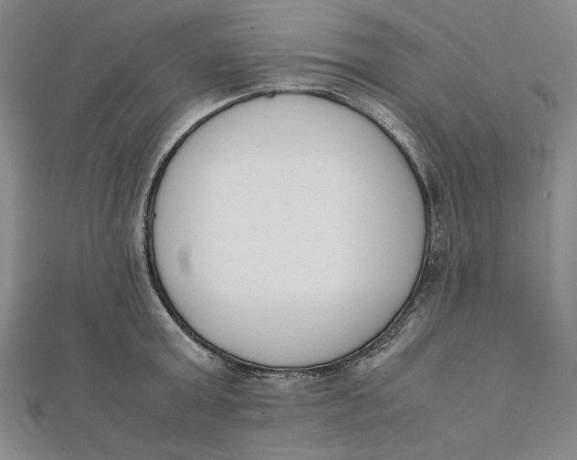 X0000112050803200908250957