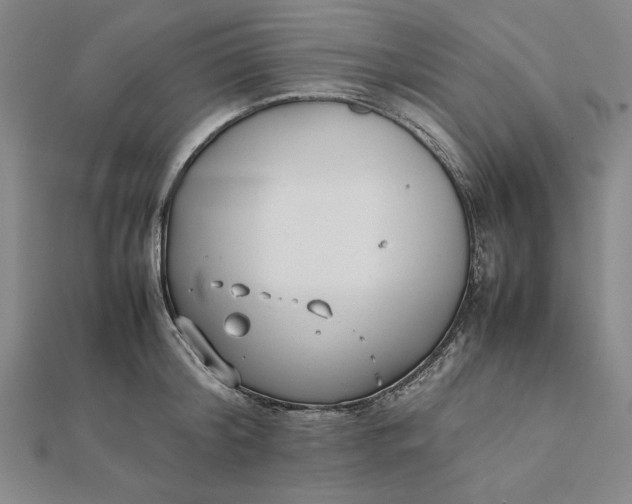 X0000112050804200908250957