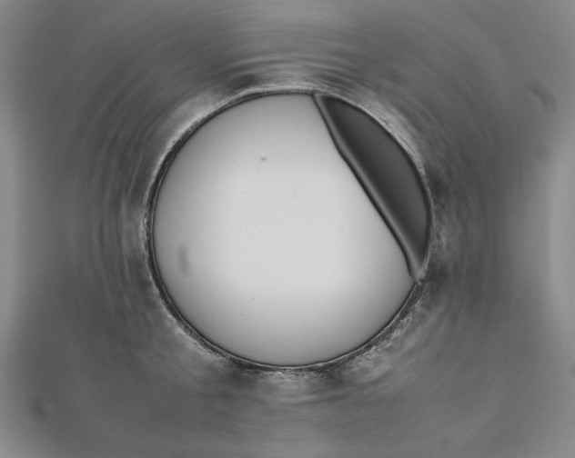 X0000112050805200908250957