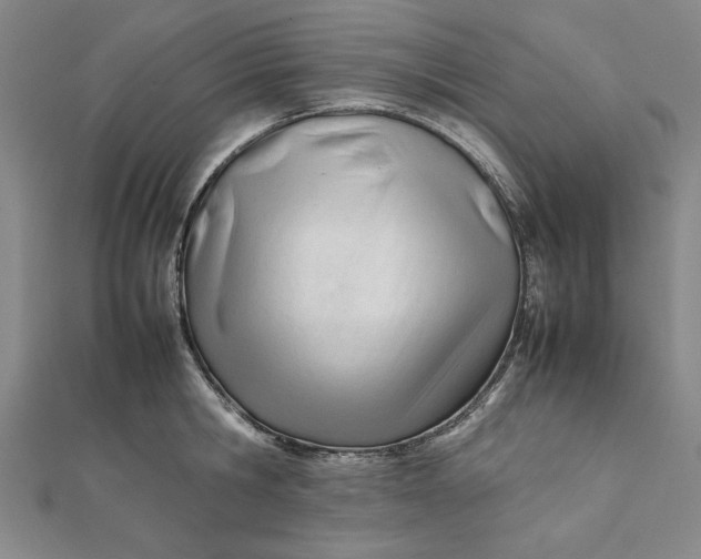 X0000112050806200908250957