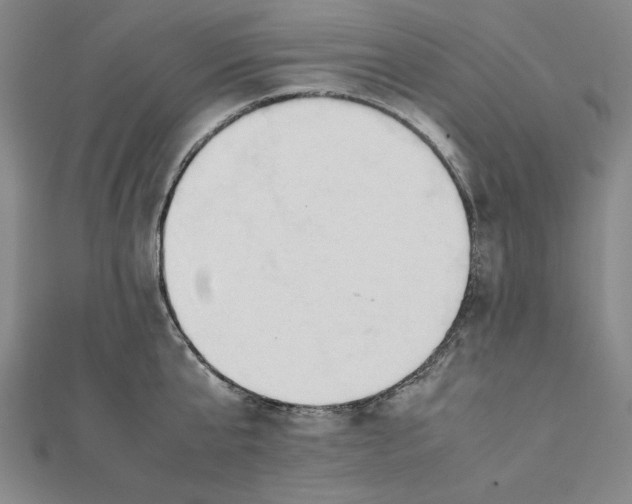 X0000112050807200908250957