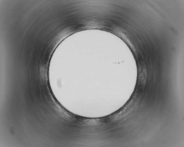 X0000112050810200908250957