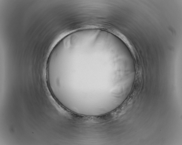 X0000112050811200908250957