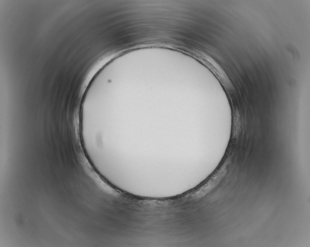 X0000112050812200908250957