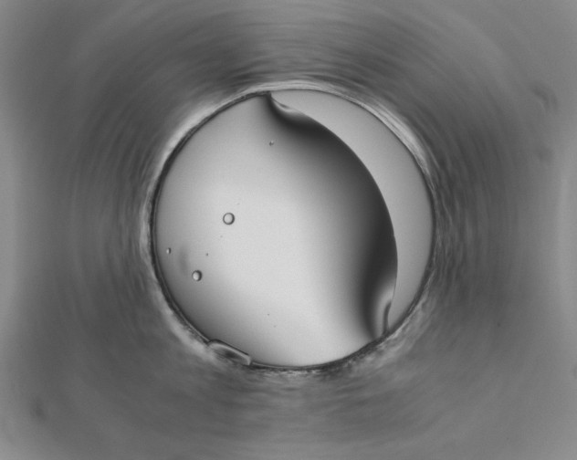 X0000112050813200908250957