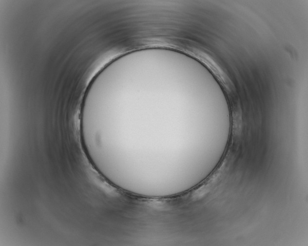 X0000112050814200908250957