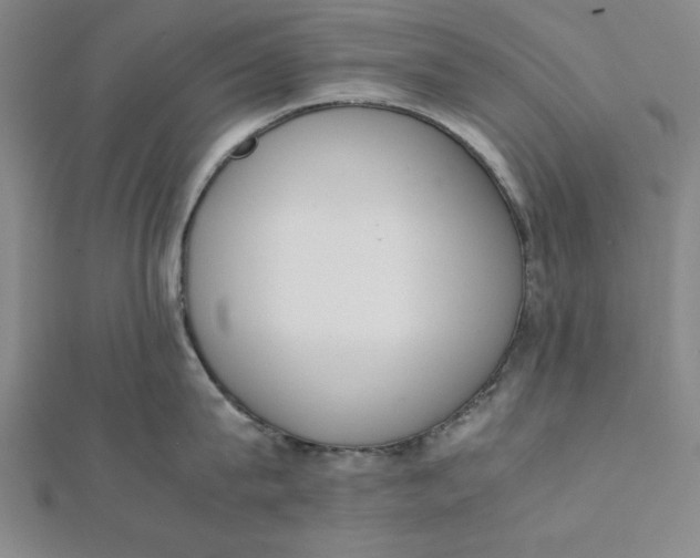 X0000112050815200908250957