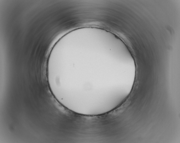 X0000112050816200908250957