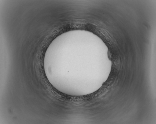 X0000112050817200908250956