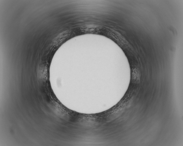 X0000112050820200908250956