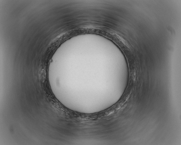 X0000112050821200908250956