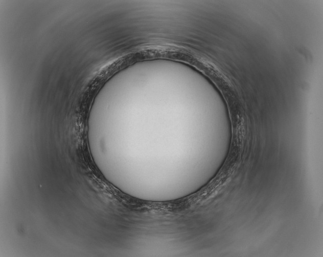 X0000112050822200908250956