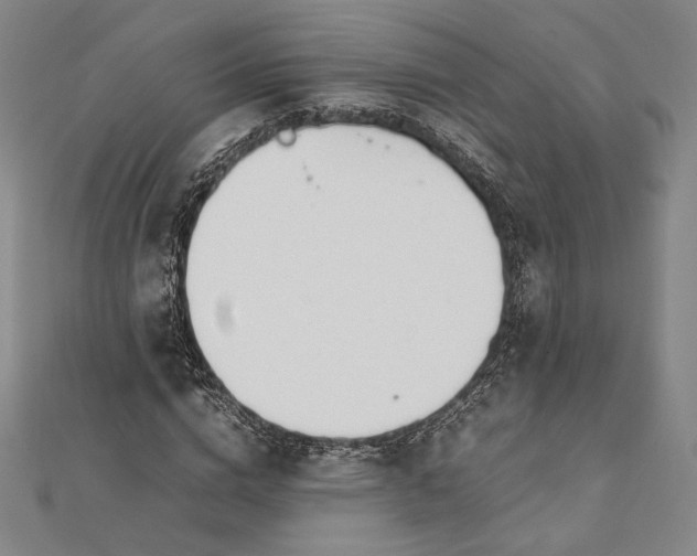 X0000112050824200908250956