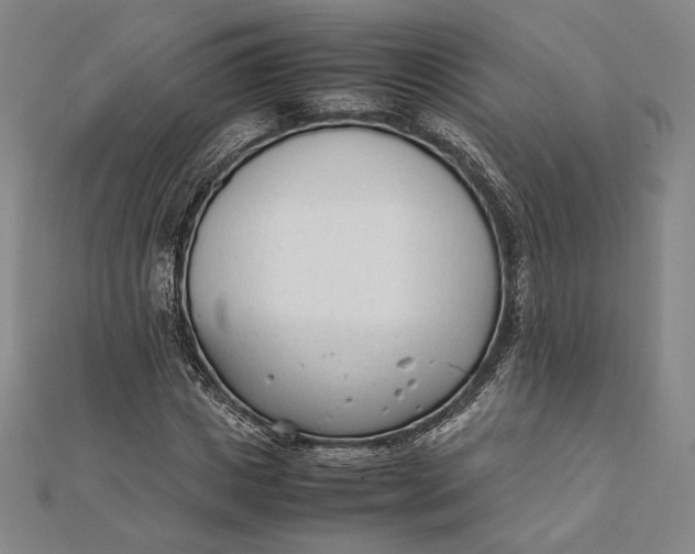 X0000112050825200908250956