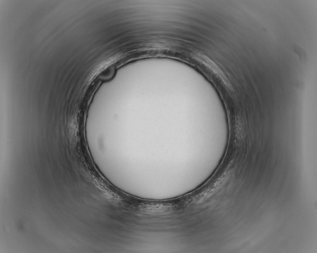 X0000112050826200908250956