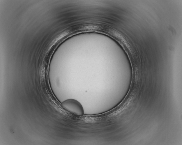 X0000112050827200908250956