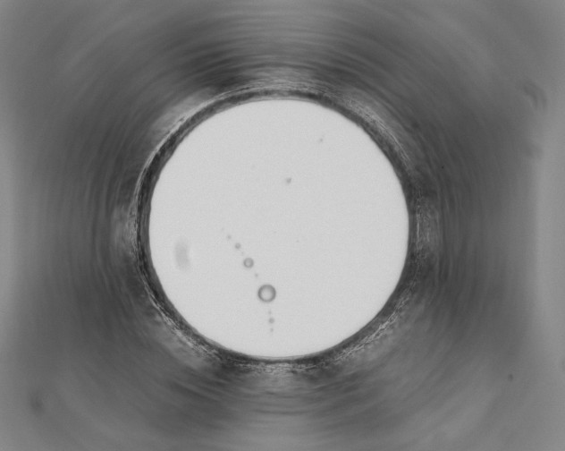 X0000112050828200908250956