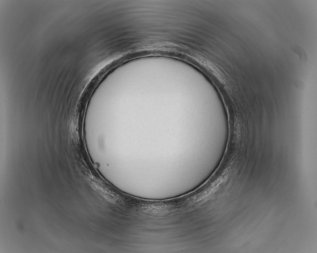 X0000112050830200908250956