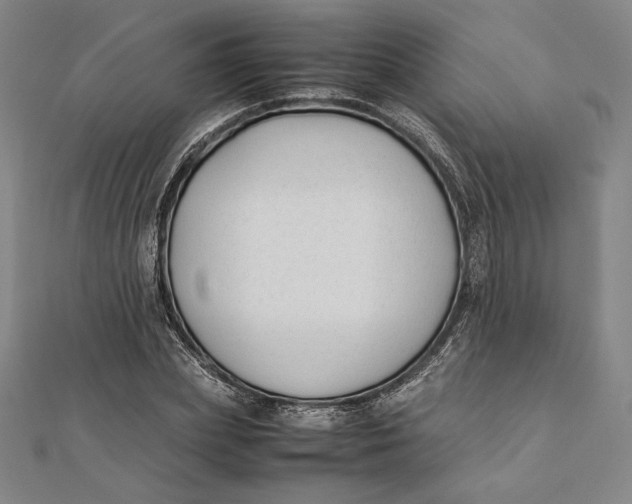 X0000112050831200908250956