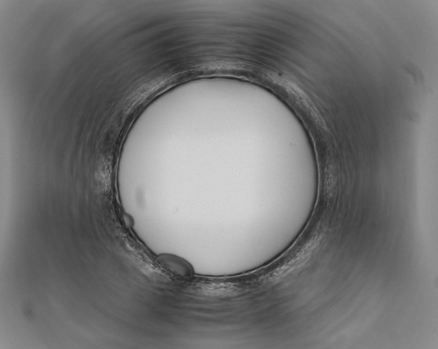 X0000112050833200908250957