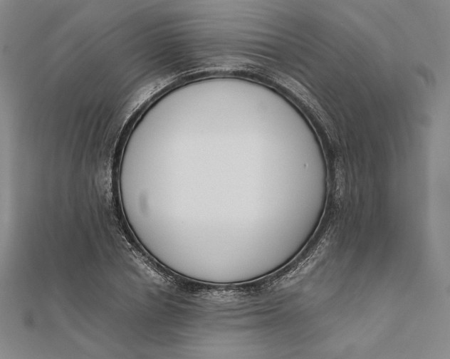 X0000112050834200908250957