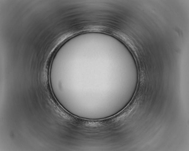 X0000112050835200908250957